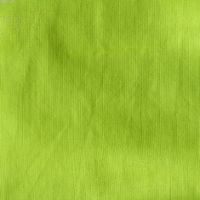 Farba do tkanin Textil Solid 50 ml - 1522 Kiwi