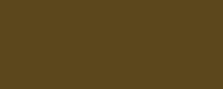 Farba akrylowa Daler-Rowney 120 ml - 247 Raw umber