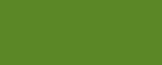 Farba akrylowa Daler-Rowney 120 ml - 375 Sap green