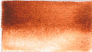 Farba akwarelowa Aquarius na sztuki - 250 Burnt Siena Monte Amiata
