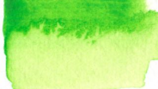 Farba akwarelowa Aquarius na sztuki - 231 Permanent Green Light