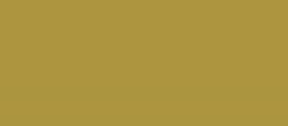 Pisak do ceramiki Armerina Darwi - 050 Gold
