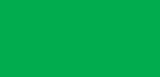 Farba do tkanin Textil Color 50 ml - 1626 Brilliant Green