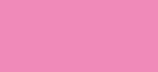 BrushmarkerPRO - 220 Pale Pink