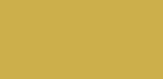 Marker kredowy 4,45 mm TOMA - Złoty