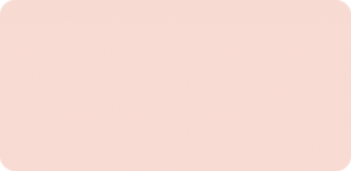 Marker Kurecolor Twin WS Kuretake - 202 Pale Pink