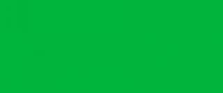 Kredka Polychromos Faber-Castell - 159 Hookres Green
