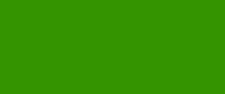 Kredka Polychromos Faber-Castell - 165 Juniper Green