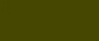 Kredka Polychromos Faber-Castell - 173 Olive Green Yellowish