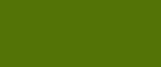 Kredka Polychromos Faber-Castell - 174 Chromium Green Opaque