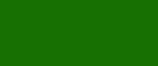 Kredka Polychromos Faber-Castell - 167 Permanent Green Olive