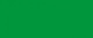 Marker permanentny ze ściętą końcówką Pentel - Zielony