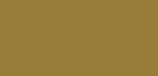 Farba do tkanin Textil Color 50 ml - 1652 Olive brown