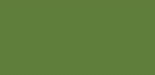 Farba do tkanin Textil Color 50 ml - 1628 Olive green