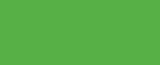 Papier Everbal B1 70 x 100 cm – paczka 25 arkuszy - 47 Zielony naturalny