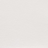 Papier akwarelowy Saunders Waterford 56 x 76 cm  - 190g 10ark, high white CP NOT