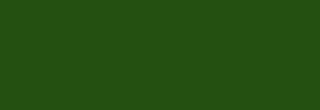 Farba do szkła Vitrail Lefranc & Bourgeois 50 ml - 541 Olive green